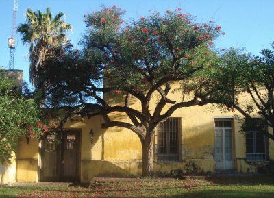 En Rosario de la Frontera. Salta. Argentina