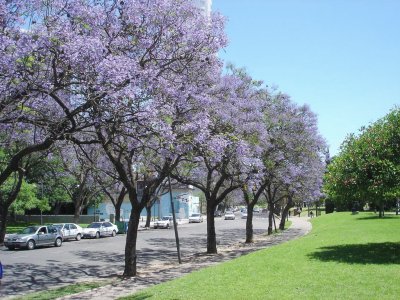 Rosario. Santa Fe. Argentina