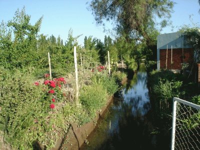 En Gral. Alvear. Mendoza. Argentina