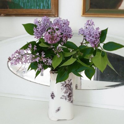 Lilacs