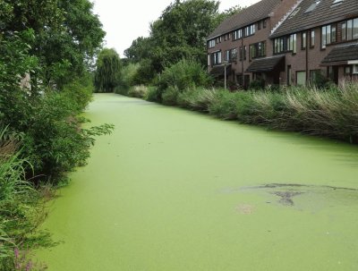 Alphen aan den Rijn. Holanda