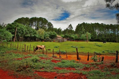 OberÃ¡. Misiones. Argentina