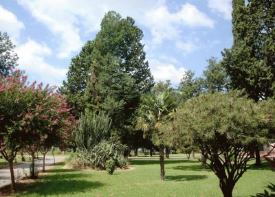 Plaza en Rueda. Santa Fe. Argentina