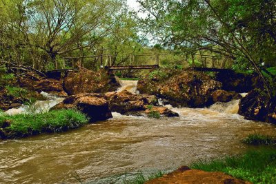 Arroyo Toro. Misiones. Argentina