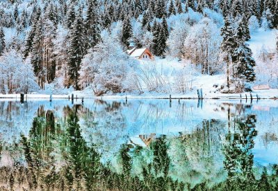 Lago de Vallon. Francia