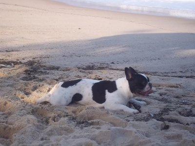 Descansando na Praia