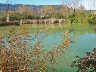 Banyoles-Estany