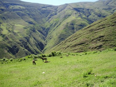 En Santa Victoria. Salta. Argentina