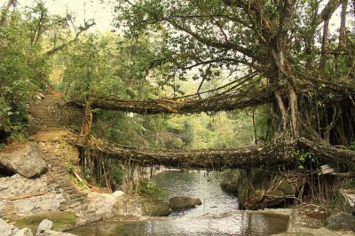 Cherrapunji. India