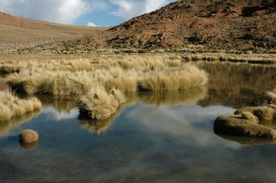 Sey. Jujuy. Argentina