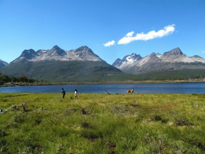 A la vera de la RN 3. Tierra del Fuego. Argentina