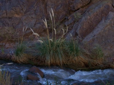 Quebrada Las Angosturas. Catamarca. Argentina