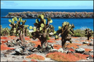 Islas GalÃ¡pagos. Ecuador