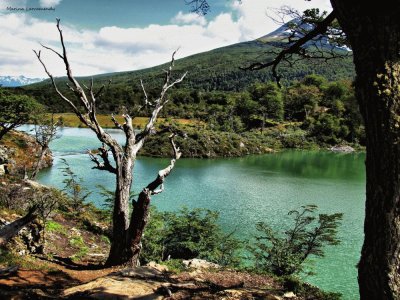 PN Tierra del Fuego. Argentina