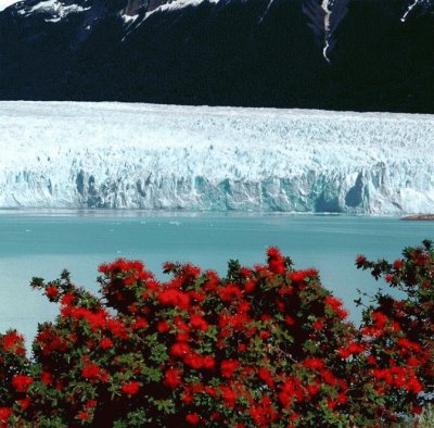 Glaciar Perito Moreno. Patagonia Argentina