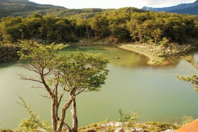 PN Tierra del Fuego. Argentina