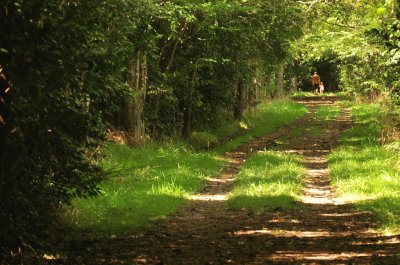 Cerca de San Miguel del Monte. Buenos Aires. Argentina