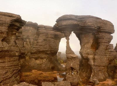 Tepuy Roraima. Venezuela