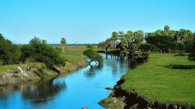 Tala. Corrientes. Argentina