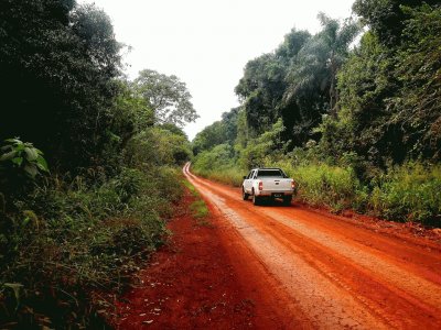 En la RN 101. Misiones. Argentina