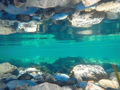 En el Lago Lolog. NeuquÃ©n. Argentina