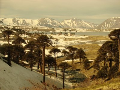 Caviahue. NeuquÃ©n. Argentina