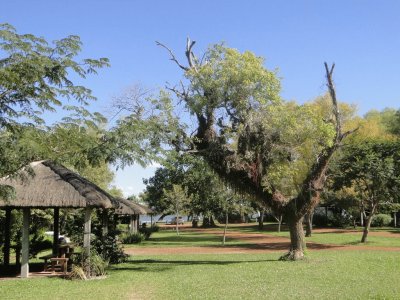 Esteros del IberÃ¡. Corrientes. Argentina