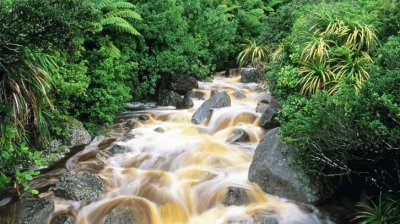 Karamea. Nueva Zelanda