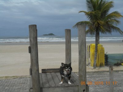 Nick no escorregador da Praia em GuarujÃ¡ - SP