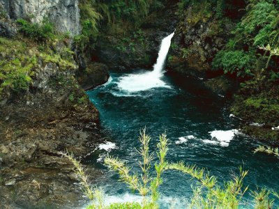 Cascada Los Alerces. RÃ­o Negro. Argentina