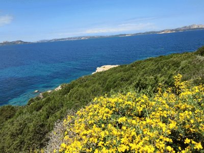 Paisagem Italiana