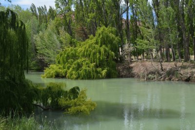 Villa Florenino Ameghino. Chubut. Argentina