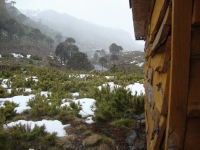 Paso Pino Hachado. NeuquÃ©n. Argentina