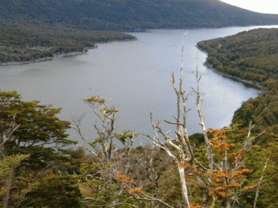 Lago Escondido. Tierra del Fuego. Argentina