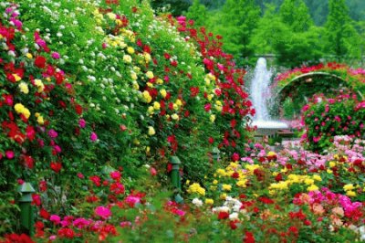 פאזל של jardin floral