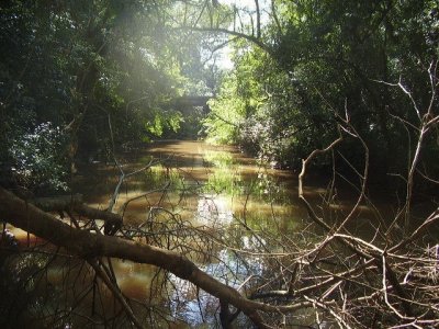 Cerca de Puerto Canoas. Misiones. Argentina