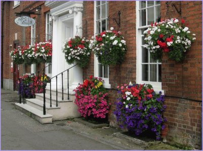 casa con maceteros florales