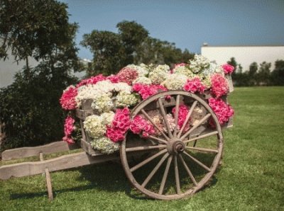 carreta con flores1