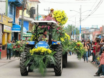 imagen tractor con flores