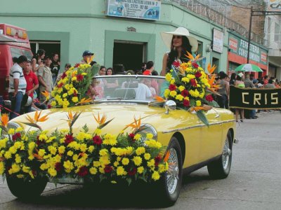 imagen auto adornado con flores