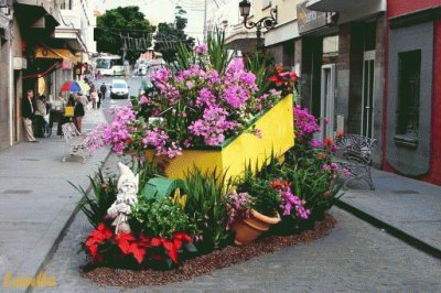 adorno floral plaza