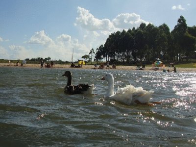 El ParanÃ¡ en ItuzaingÃ³. Corrientes. Argentina