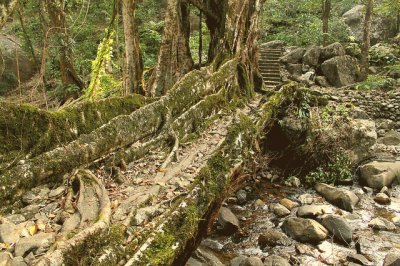 Cherrapunji. India