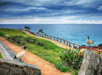 Playa Duranbah. Australia