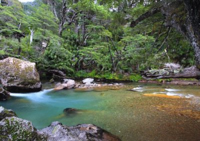 RÃ­o Pichi Traful. NeuquÃ©n. Argentina