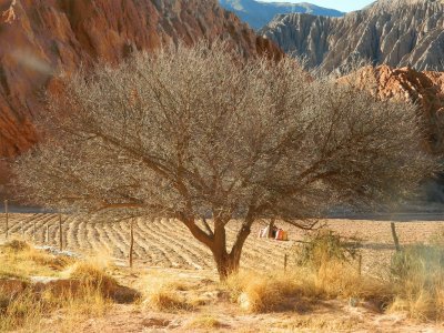 Purmamarca. Jujuy. Argentina