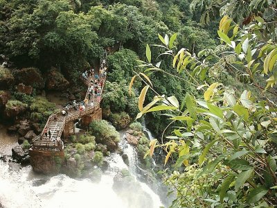 PN IguazÃº. Misiones. Argentina