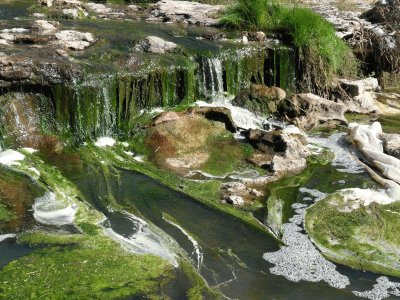 Diamante. Entre RÃ­os. Argentina