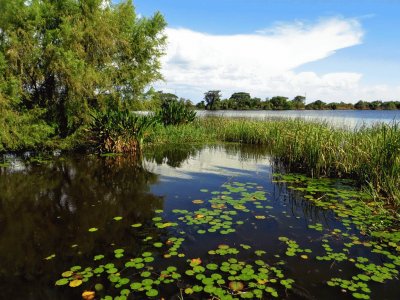 Esteros del IberÃ¡. Corrientes. Argentina