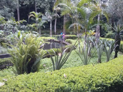 jardin